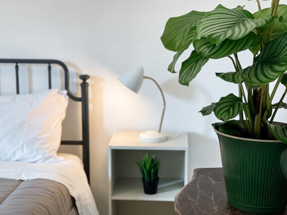 Sestio House Apartment Рим Екстериор снимка